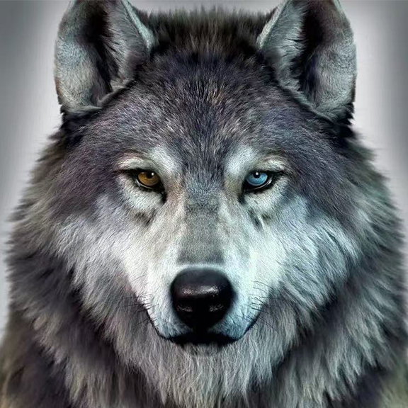 Zephyr